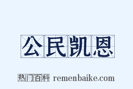 公民凯恩是什么意思的图片